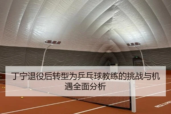 丁宁退役后转型为乒乓球教练的挑战与机遇全面分析