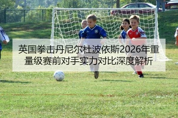 英国拳击丹尼尔杜波依斯2026年重量级赛前对手实力对比深度解析