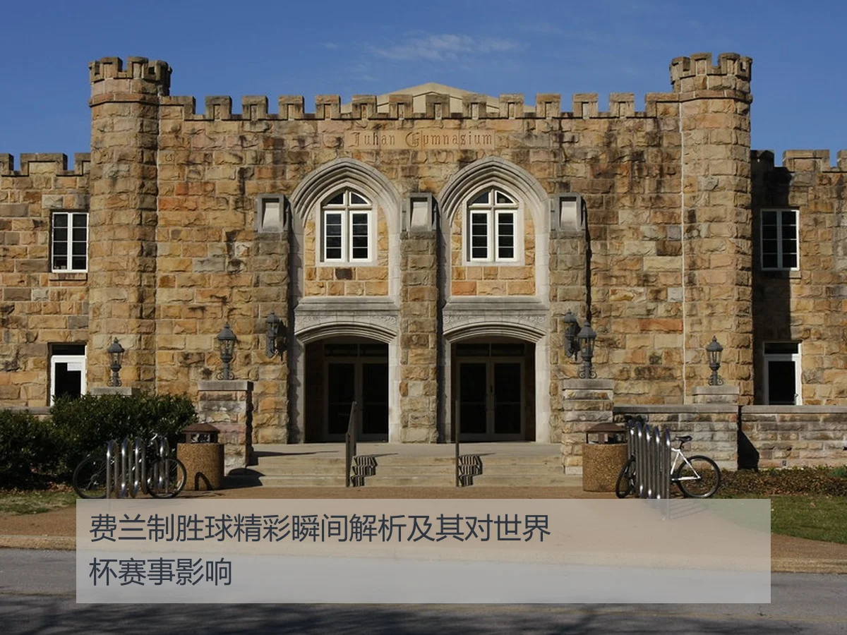 费兰制胜球精彩瞬间解析及其对世界杯赛事影响